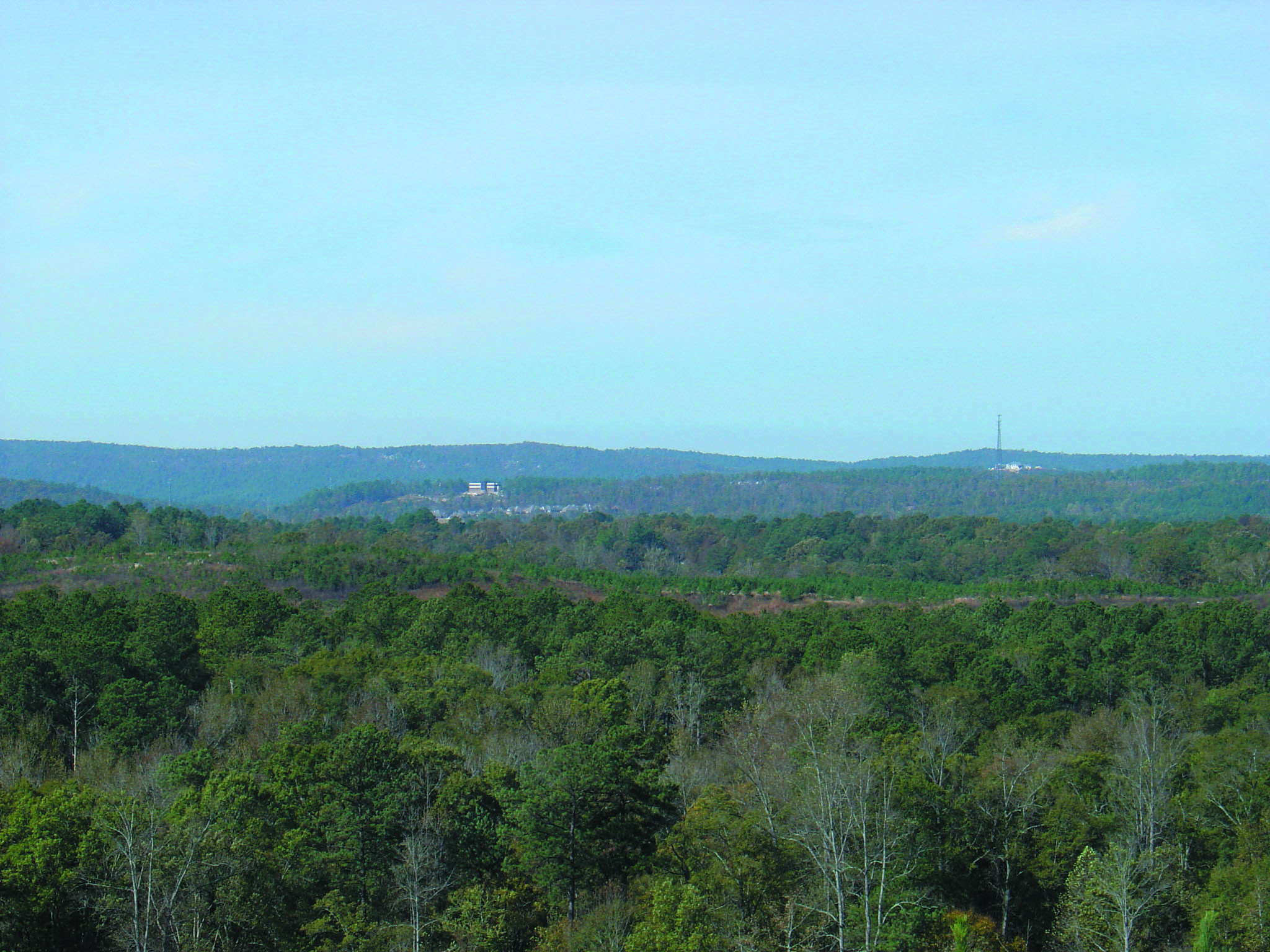 Home Chelsea Park Residential Association